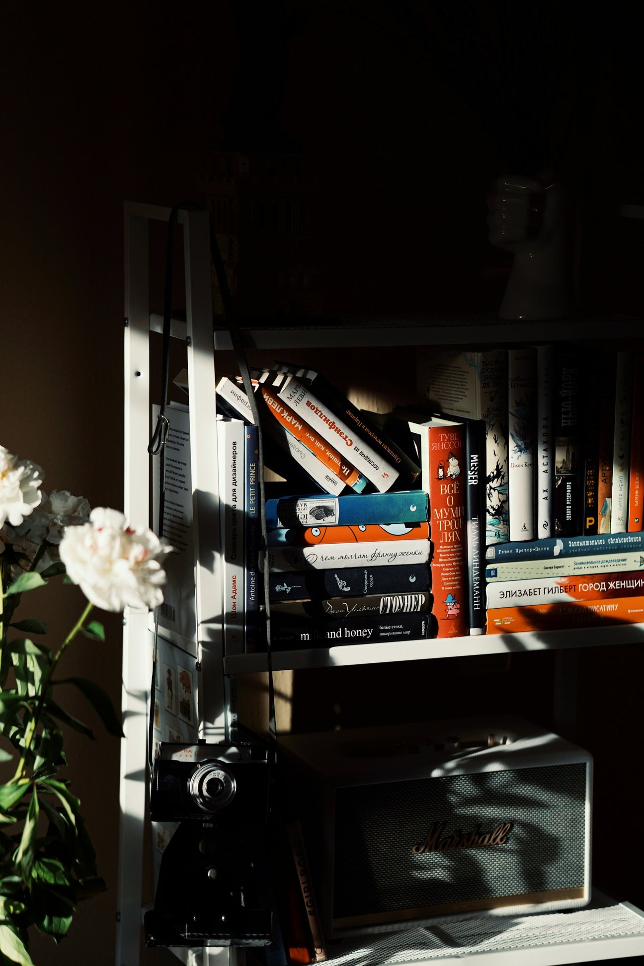 Exploring the Power of Lyrics: Music as a Storytelling